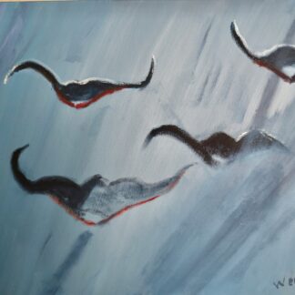 manta's