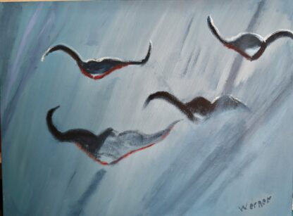 manta's