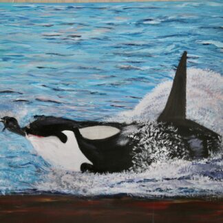 orka op jacht