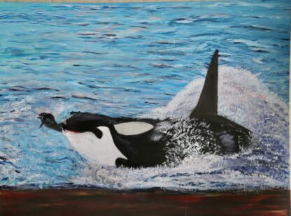 orka op jacht