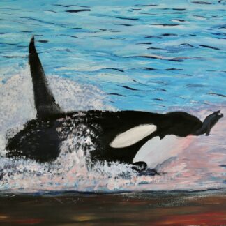 orka op jacht