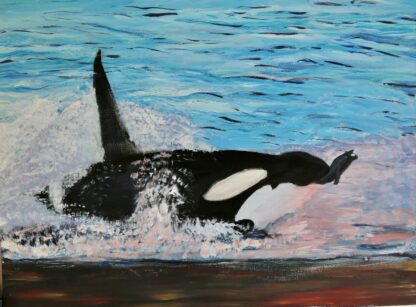 orka op jacht