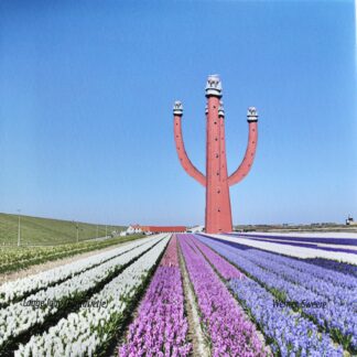 Langejaap illusie tje