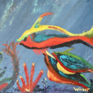 Schooltje papagaaivissen