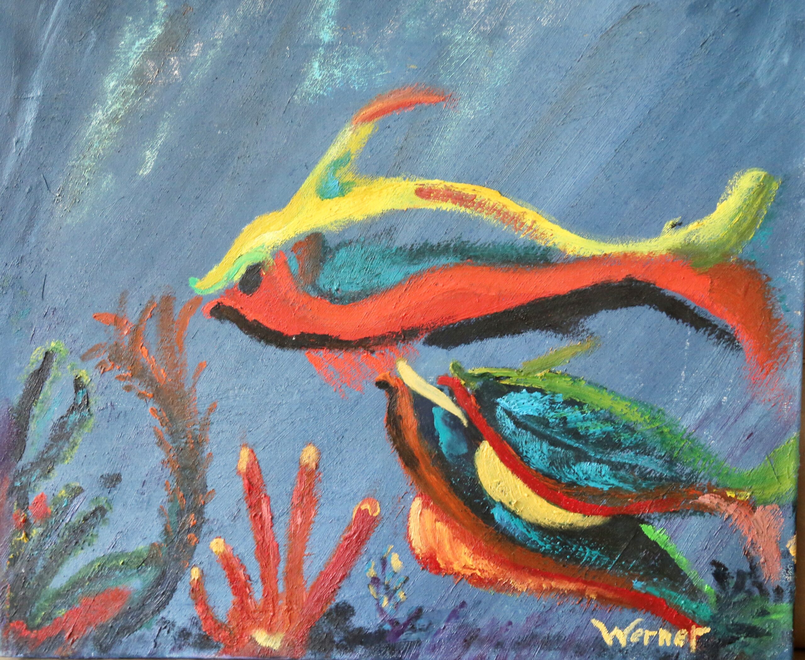 Schooltje papagaaivissen